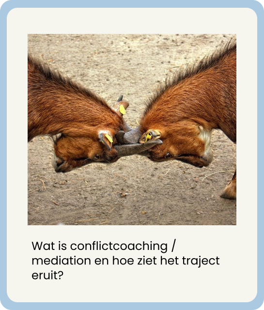 Wat is conflictcoaching / mediation en hoe ziet het traject eruit?